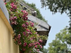 -颐和路民国时期公馆风貌区