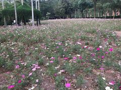 -广州市流溪河国家森林公园