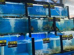 -老东镇啤酒屋海鲜加工·蒸汽海鲜·海鲜烧烤(台东店)