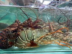 -班赞海鲜市场