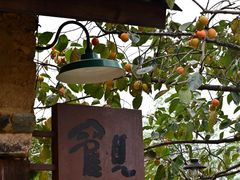 -杨家堂村