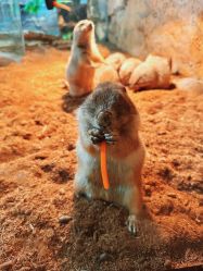 -Zoolung Zoolung动物主题公园(海信广场店)