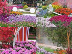 -广州市白云山风景名胜区