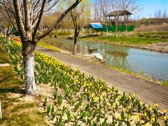 -长田漾湿地公园