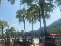 -重庆海昌加勒比海水世界