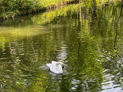 -常州淹城野生动物世界