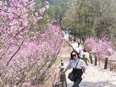 -天台山赤城山景区