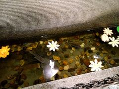 -渔米粥(罗湖店)
