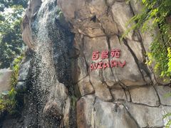 -星光大道