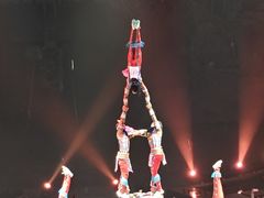 -广州长隆国际大马戏