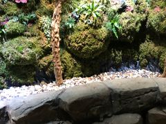 -临街徽菜馆·正宗黄山味