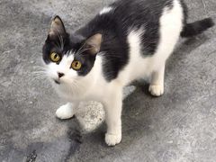 -后田海鲜餐厅(南澳香湖湾店)