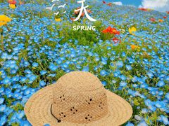 -上海辰山植物园