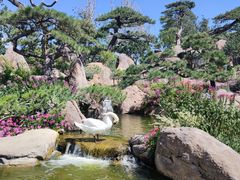 -罗红摄影艺术馆