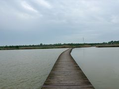-盐城丹顶鹤湿地生态旅游区