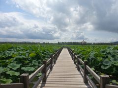 -漩门湾国家湿地公园