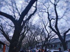 -北京国子监胡同