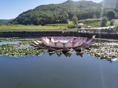 -帽儿山风景区