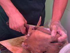 -洪记白水羊头(留学路店)