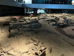 -自贡恐龙博物馆