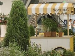 -北京SKP