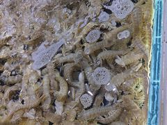 -聚盛源蒸汽海鲜火锅烤肉自助(巨川金海岸购物广场店)