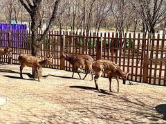 -水上乐园·欢乐世界