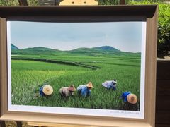 -黔蘑菇四季餐厅(观山湖店)