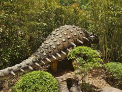 -西峡恐龙遗迹园