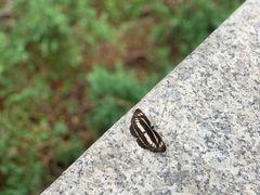 -韶山毛泽东同志故居