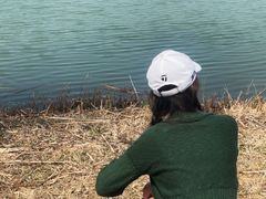 -苏州太湖国家湿地公园