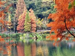 -重庆彩云湖湿地公园