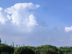 -东莞植物园