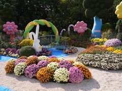 -上海共青森林公园