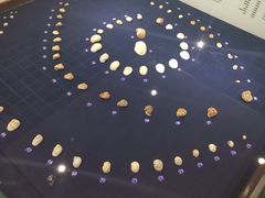 -青岛贝壳博物馆