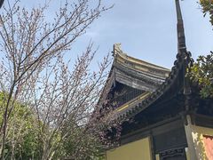 -常熟方塔园