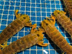 -三亚火车头万人海鲜广场