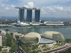 -新加坡瑞士史丹福酒店