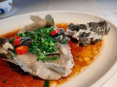 -老伙记海鲜码头(北滘店)
