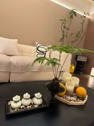 -栖SPA·ONDA ·海菲秀·皑皑科技美肤中心
