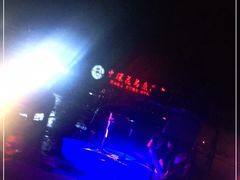 -中环花鸟鱼虫市场