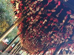 -郑州方特梦幻王国