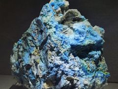 -陕西自然博物馆