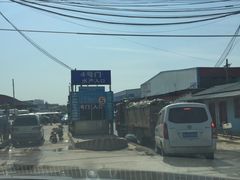 -白沙洲农产品大市场海鲜交易区