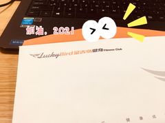 -金吉鸟健身游泳