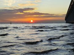 -宝安西湾红树林湿地公园