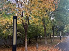 -北京国家会计学院