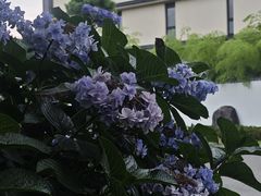 -南紀白浜 浜千鳥の湯 海舟