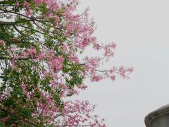 -石峰岩寺