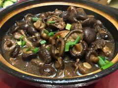 蘑菇煲-李师傅脆肚(梅林店)